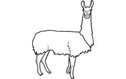 Lama Animal Free DXF File