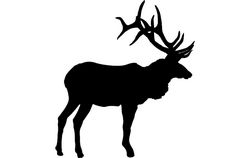 Large Bull Elk Silhouette Free DXF File