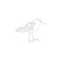 Bird Line Art Free DXF File