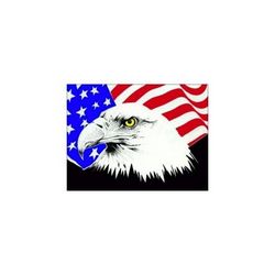 Usa Flag And Eagle Free DXF File