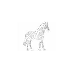 Zebra Animal Free DXF File