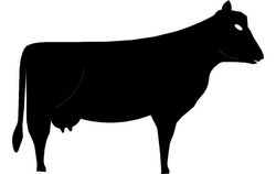 Cow Silhouette 44 Free DXF File