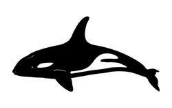 Killer Whale Free DXF File