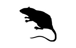 Animal Rat Silhouette Black Free DXF File