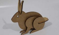 Laser Cut Template Bunny Rabbit Free DXF File