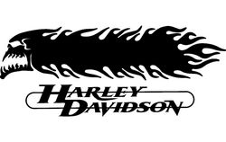 Harley Davidson Skull And Flames 3d Free DXF File
