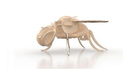 Fly Insect 3d Puzzle 3mm Free DXF File