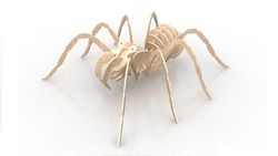 Spider 6mm Wood Insect 3d Puzzle Free DXF File