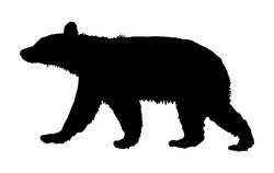 Bear Animal Free DXF File