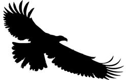 Hawk Flying Silhouette Free DXF File