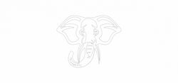 Jungle Animal Elephant Free DXF File