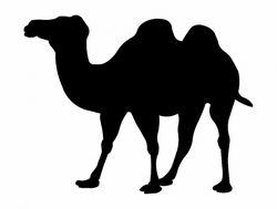 Wielblad (camel Silhouette) Free DXF File